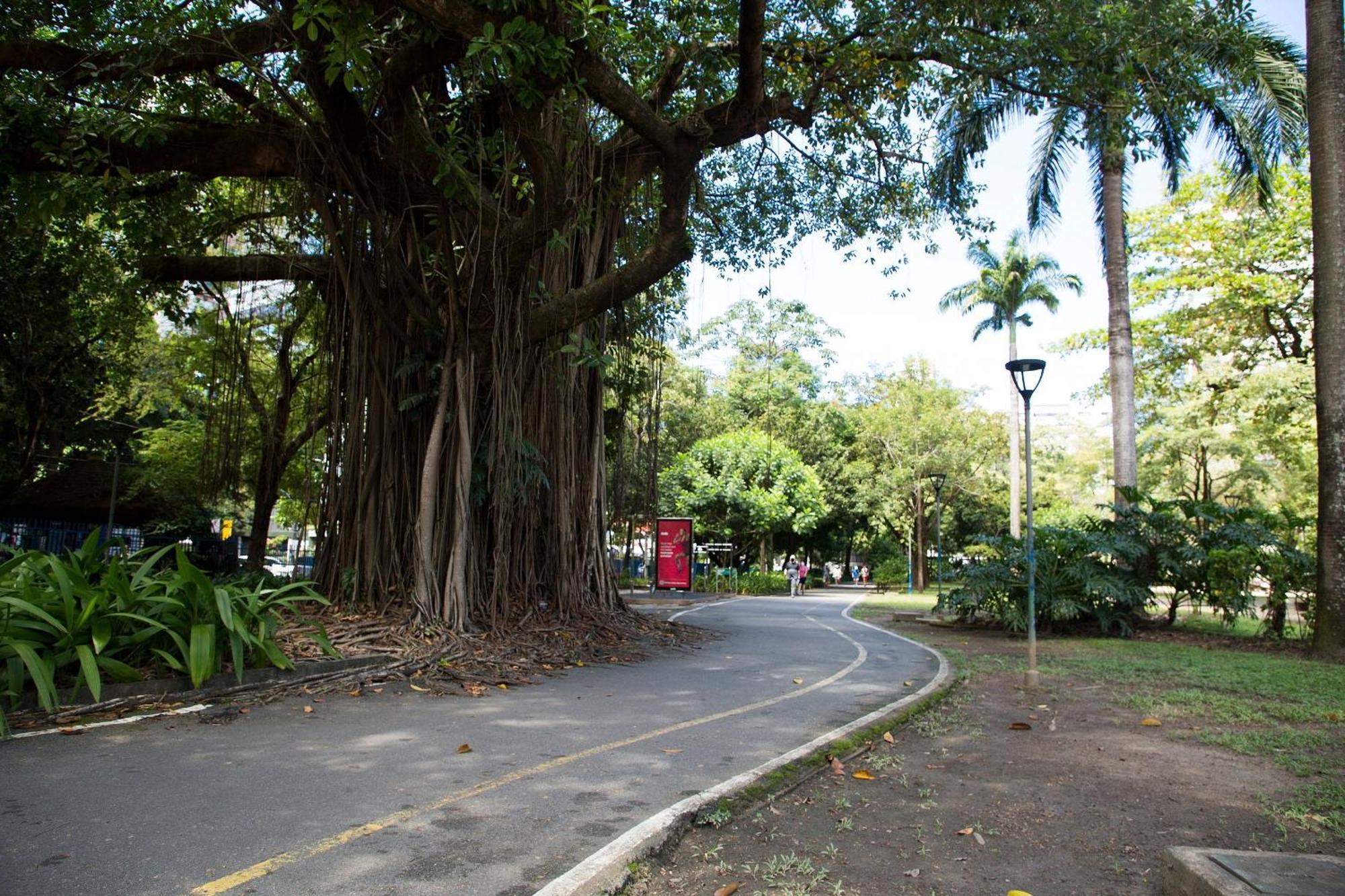 Apartamento Localizacao Espetacular - Zona Norte - Sem Taxas *